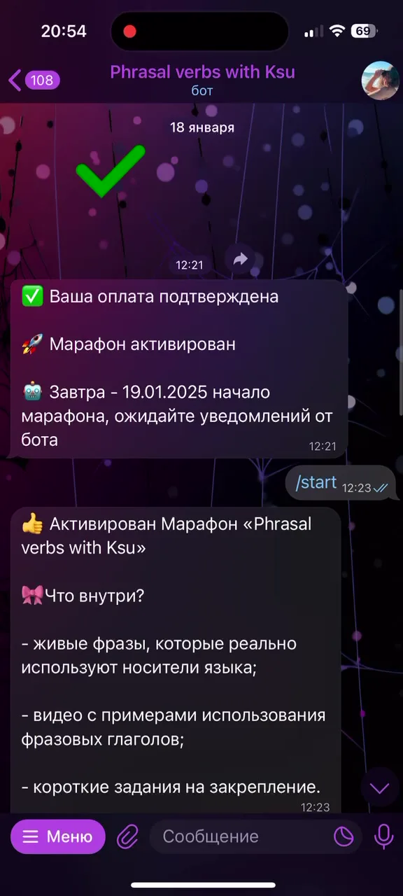 Образовательный Telegram-бот Phrasal verbs with Ksu